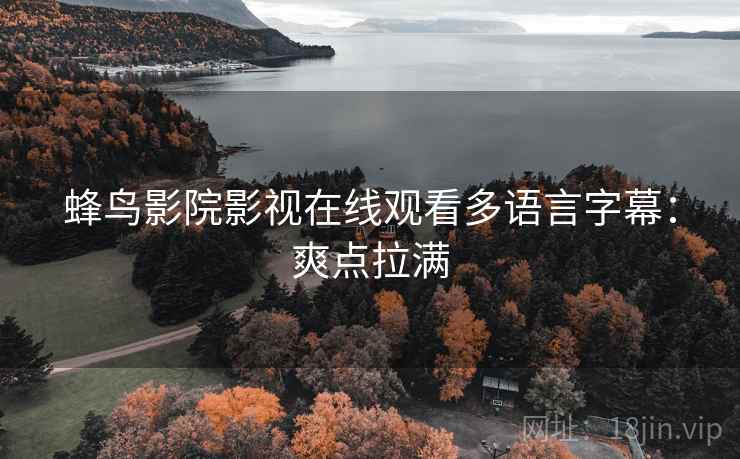 蜂鸟影院影视在线观看多语言字幕：爽点拉满